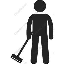 Professional Cleaner