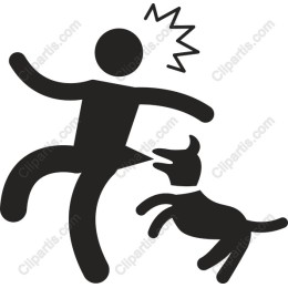 Playful Dog Encounter