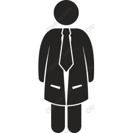 Professional Suit