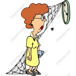Time-Management Spider