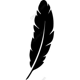 Elegant Feather