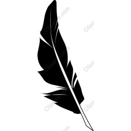 Black Feather