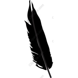 Black Feather - Elegant