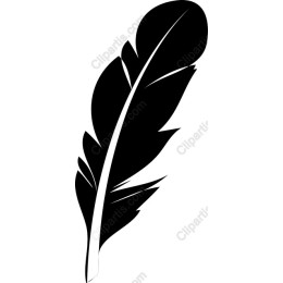 Elegant Black Feather