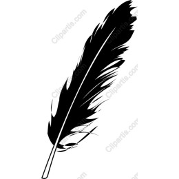 Black Feather