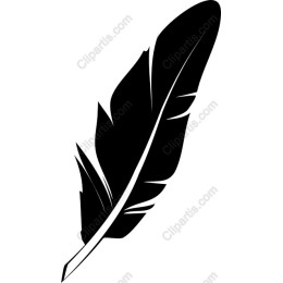 Elegant Black Feather