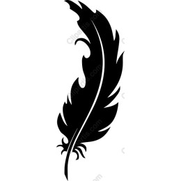 Elegant Black Feather