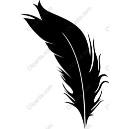 Elegant Feather
