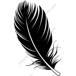 Elegant Black Feather