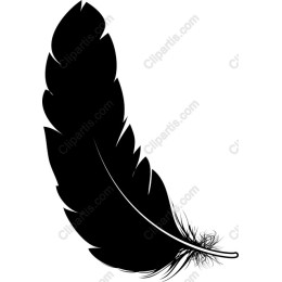 Elegant Black Feather Drawing