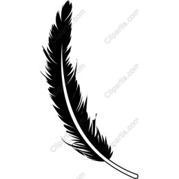 Elegant Black Feather