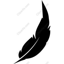 Elegant Black Feather