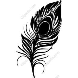 Black Peacock Feather