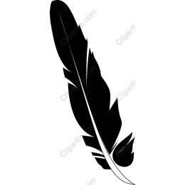 Elegant Black Feather
