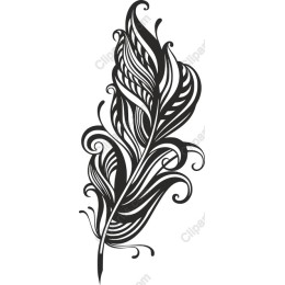 Elegant Black Feather