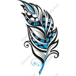 Elegant Blue Feather