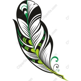 Elegant Black and Green Feather