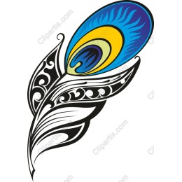 Peacock Feather Elegance