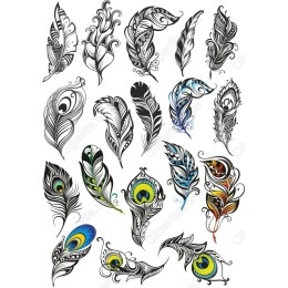 Artistic Feather - Clipart Bundle