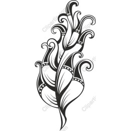Elegant Floral