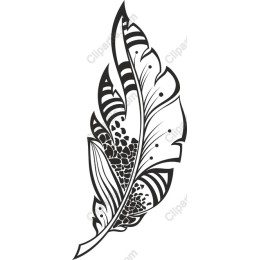 Exquisite Black and White Feather