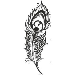 Elegant Feather