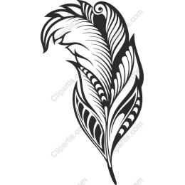 Elegant Feather