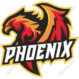 Fierce Phoenix work