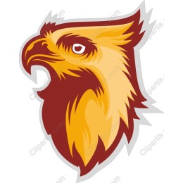 Majestic Griffin Head