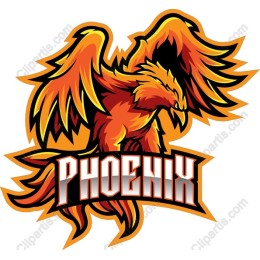 Phoenix - Bold and Inspiring