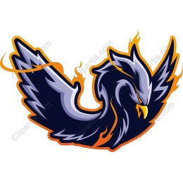 Fierce Phoenix