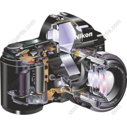Nikon DSLR Camera Cross-Section