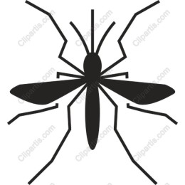 Mosquito - Elegantly ed