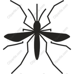 Mosquito - and