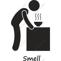 Curious Smell - Culinary Exploration