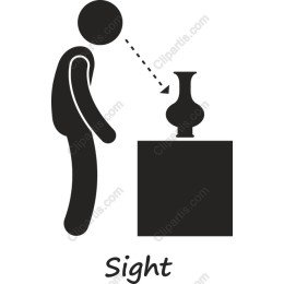 Sight