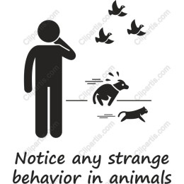 Animal Behavior Awareness
