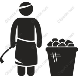 Professional Waste Management