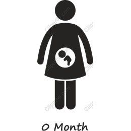 0 Month Pregnancy Milestone
