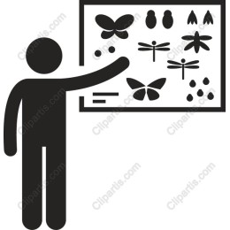 Insect - Butterfly and Dragonfly Display
