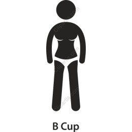 B Cup