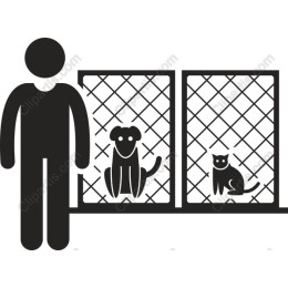 Heartwarming Animal Shelter