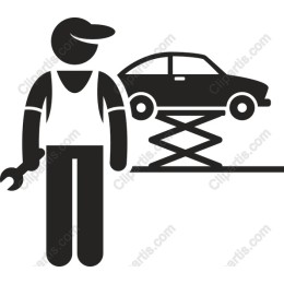 Professional Mechanic