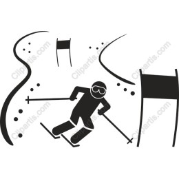 Dynamic Ski Racer
