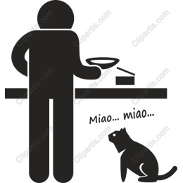 Cat Feeding