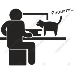 Playful Cat and Person