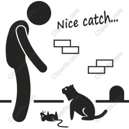Nice Catch! - Playful Cat