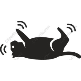 Playful Cat
