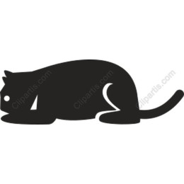Minimalist Black Cat