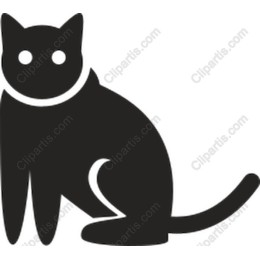 Black Cat